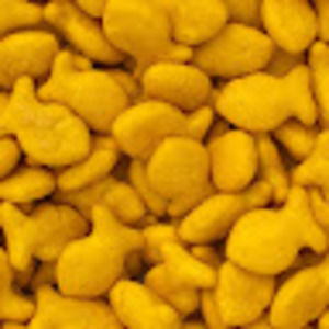 Meet your Posher, Brayden